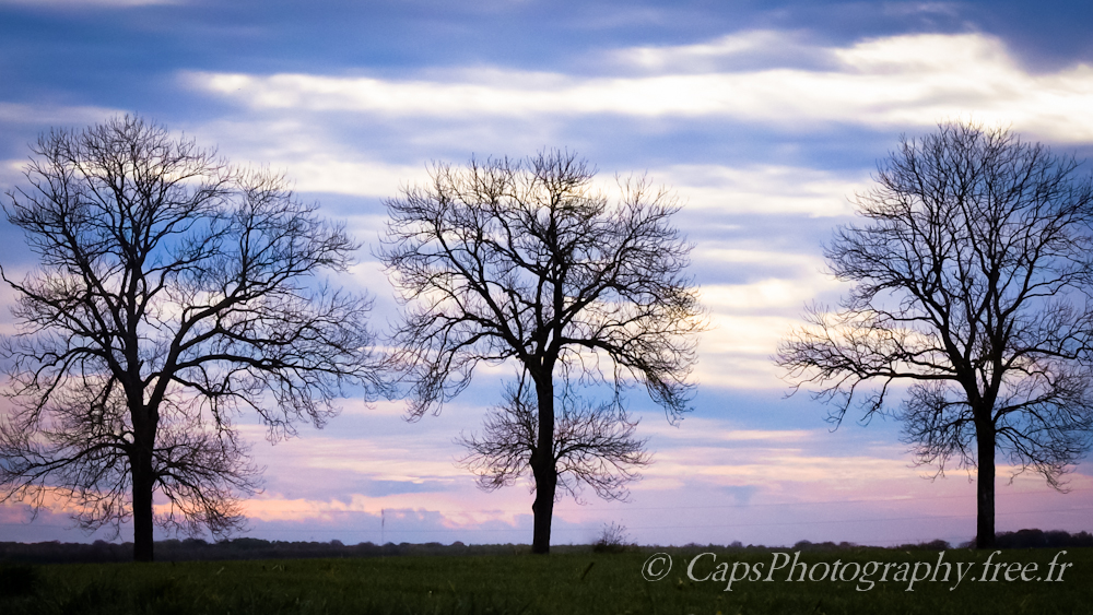 DSC_5258-1-2